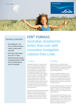 EDN&reg; FUMIGAS. Australian strawberries better than ever with