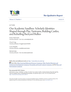 Our Academic Sandbox: Scholarly Identities Shaped