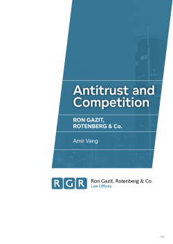 Antitrust and Competition