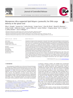 Mesoporous silica-supported lipid bilayers (protocells) for DNA