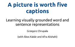 Learning visually grounded word and sentence representations