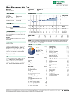 Multi-Management 90/10 Fund