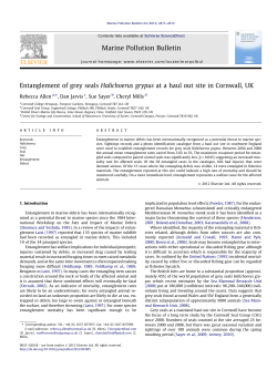 Entanglement of grey seals Halichoerus grypus at a haul