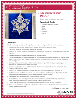 3-D snowfLAKE DEcor