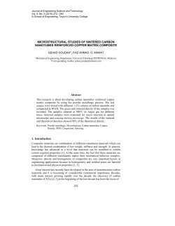MICROSTRUCTURAL STUDIES OF SINTERED CARBON