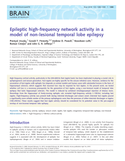 Epileptic high-frequency network activity in a