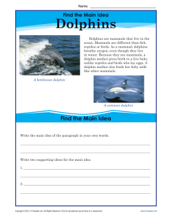 Main Idea Worksheets | Dolphins
