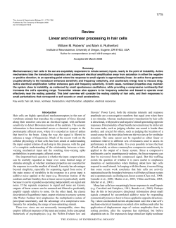 Linear and nonlinear processing in hair cells