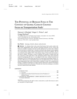 THE POTENTIAL OF BIOMASS FUELS IN THE CONTEXT OF