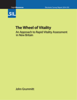 The Wheel of Vitality