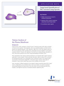 Image-based Quantification of PKC Activation using