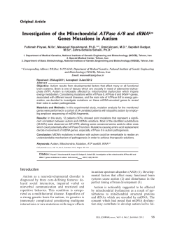 Investigation of the Mitochondrial ATPase 6/8 and tRNALys Genes