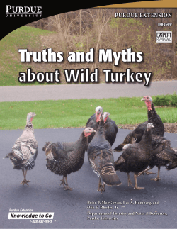 Truths and Myths about Wild Turkey - FNR-264-W