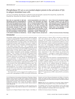 Phospholipase D2 acts as an essential adaptor protein in the