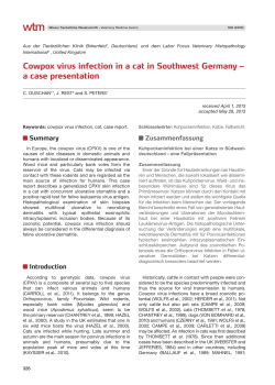 Cowpox virus infection in a cat in Southwest Germany a case