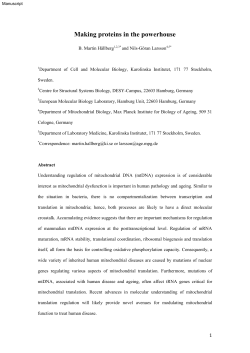 Making proteins in the powerhouse - KI Open Archive