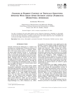 CHANGES IN PIGMENT CONTENT OF TRITICALE GENOTYPES