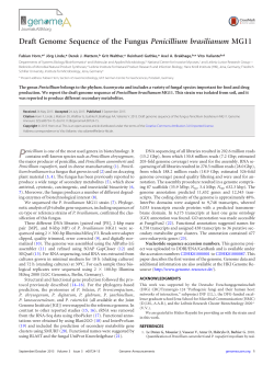 Draft Genome Sequence of the Fungus Penicillium brasilianum MG11