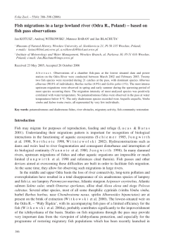 Fish migrations in a large lowland river (Odra R., Poland) &ndash; based