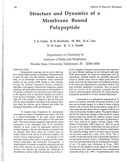 Structure and Dynamics of a Membrane Bound Polypeptide
