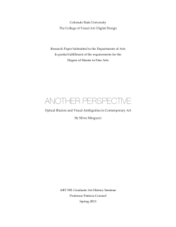 Another Perspective_Final Paper