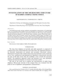 investigation of the microscopic structure of rabbit compact bone tissue