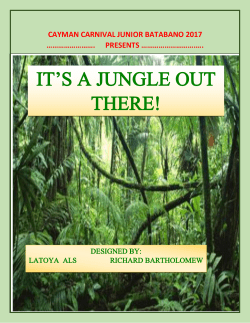 it`s a jungle out there! - Cayman Carnival Batabano