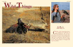 poses motionless like some frozen stone monument in a snow