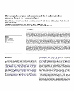 Morphological description and comparison of the dental remains