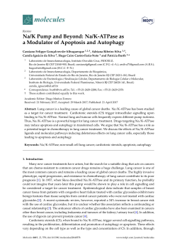 Na/K Pump and Beyond: Na/K-ATPase as a Modulator of Apoptosis