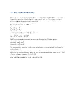 2x2 Pure Production Economy
