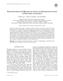 photosynthesis and metabolite levels in dehydrating leaves of