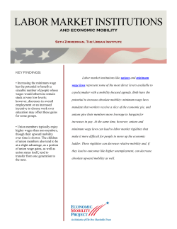 Labor Market Institutions and Economic Mobility