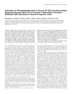 Activation of Phosphatidylinositol-3 Kinase (PI
