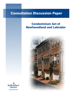 Consultation Paper