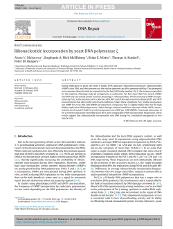 Ribonucleotide incorporation by yeast DNA polymerase &zeta;