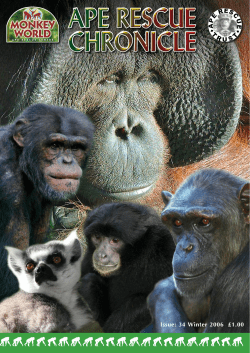 Issue 34 - Monkey World