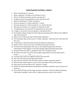 Cellular Respiration Test Review &ndash; Chapter 9 1. What