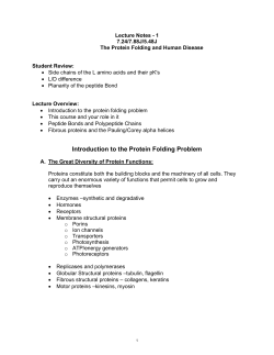 Introduction to the Protein Folding Problem