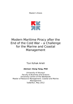 Modern Maritime Piracy after the End of the Cold War