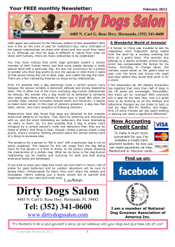 Dirty_Dogs_News_Feb_..