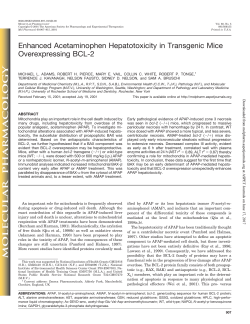 Enhanced Acetaminophen Hepatotoxicity in Transgenic Mice