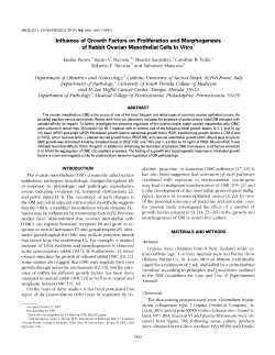 Influence of Growth Factors on Proliferation and