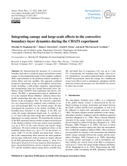 Integrating canopy and large-scale effects in the convective