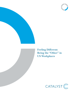 Feeling Different: Being the &ldquo;Other&rdquo; in US Workplaces