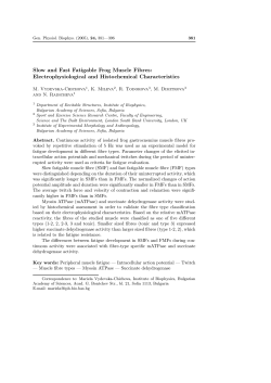 Slow and Fast Fatigable Frog Muscle Fibres