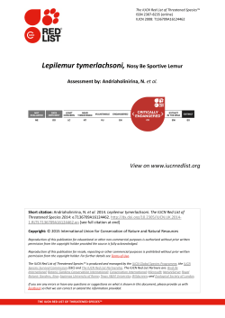 Lepilemur tymerlachsoni, Nosy Be Sportive Lemur