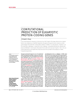 computational prediction of eukaryotic protein