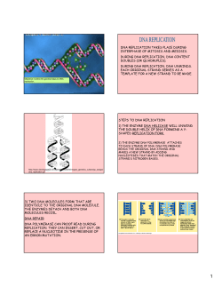 dna replication takes place during interphase of mitosis and