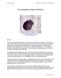 Noiseless Patient Hitchhiker